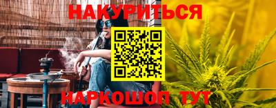 Альфа ПВП Обь