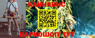 Альфа ПВП Обь