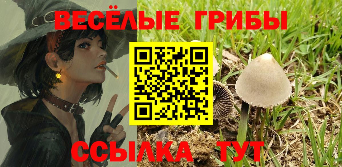 Псилоцибиновые грибы мицелий Рязань