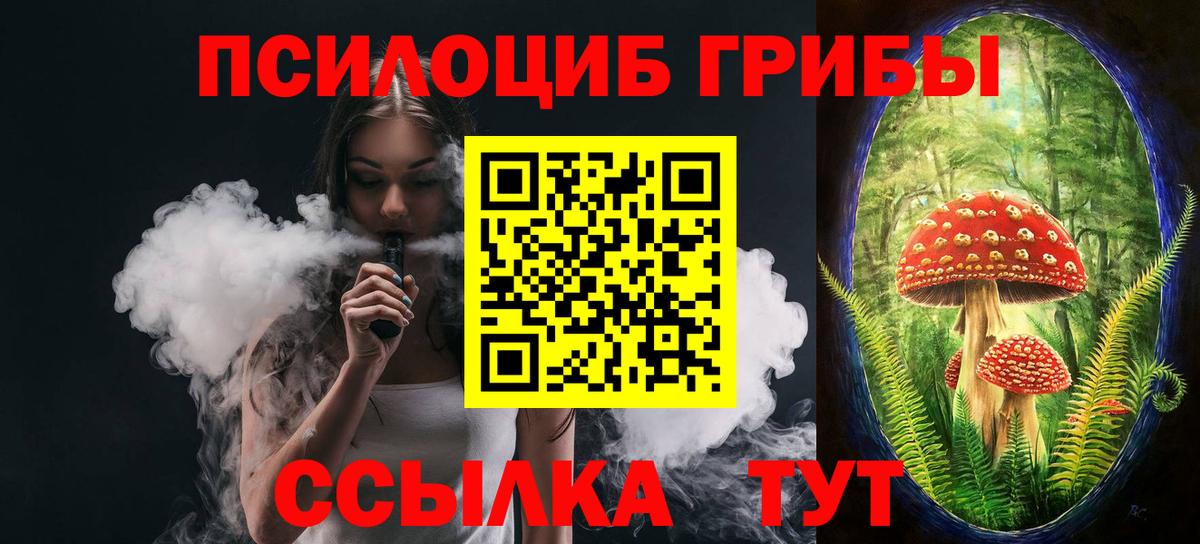 Рязань  наркота  Вход с VPN  Псилоцибиновые грибы мухоморы 